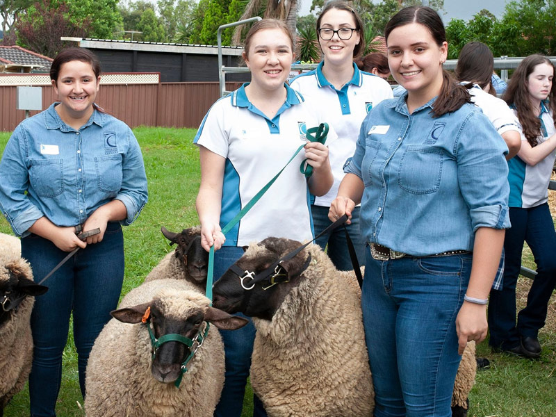Caroline Chisholm College