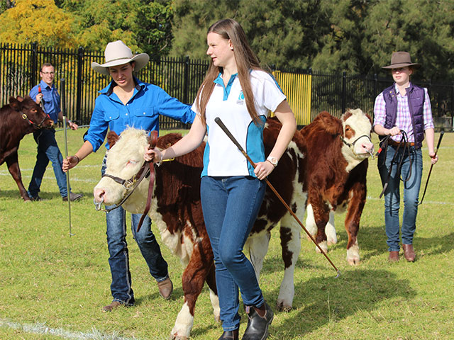 Caroline Chisholm Catholic College Glenmore Park