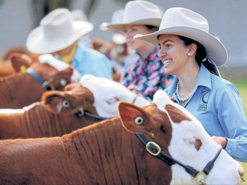 2019 Caroline Chisholm College Steers