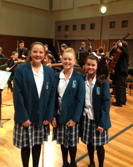 Students at the orchestra