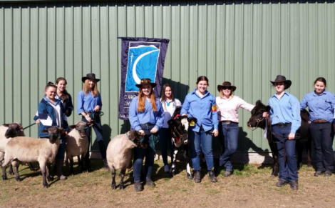 Penrith Show 2015