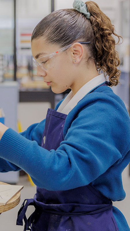 Caroline Chisholm Catholic College Glenmore Park VET student using Vice