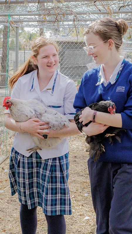 Caroline Chisholm Catholic College Glenmore Park students holding chickens