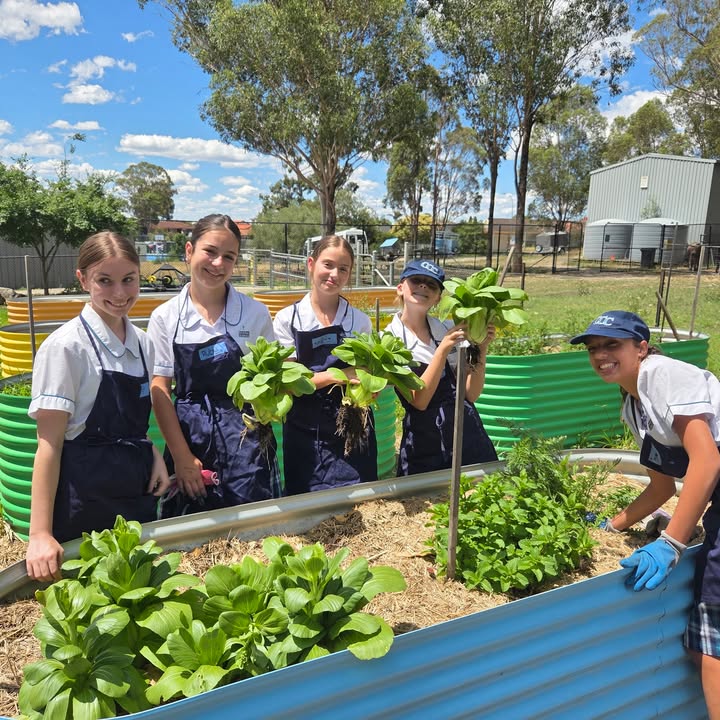 851986860269258_1433419995459272-1