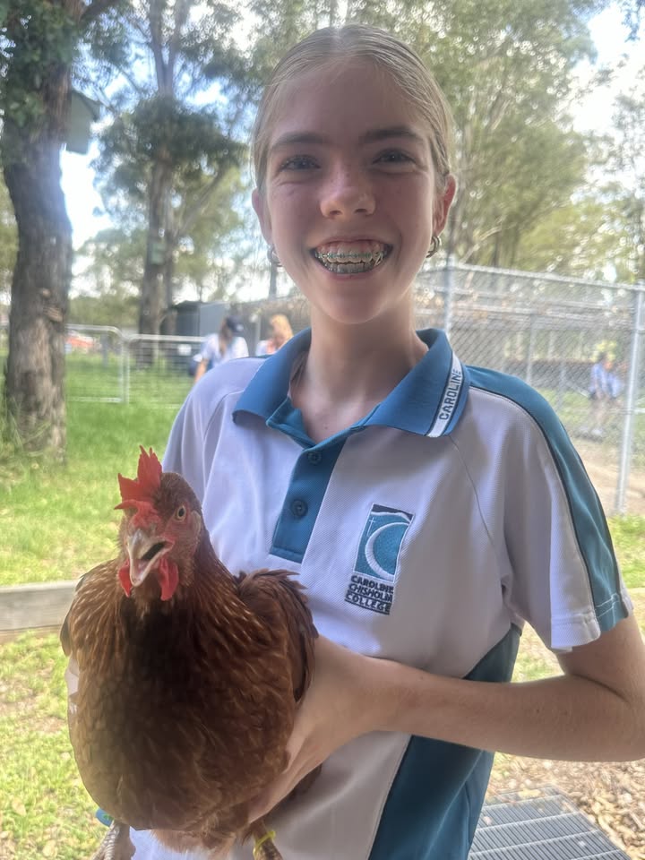 851986860269258_1487298363404768-1