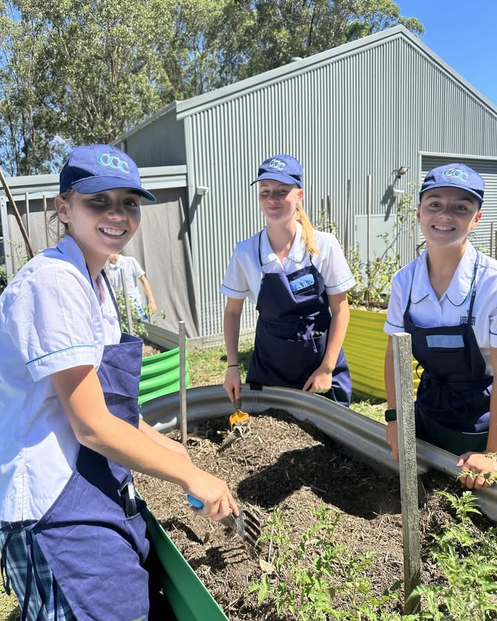 851986860269258_1501759308625340-1