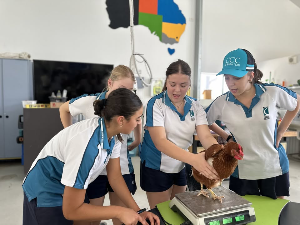 851986860269258_1504621821672422-1