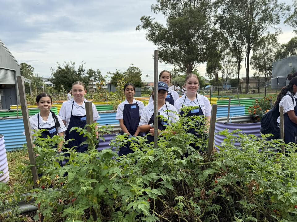 851986860269258_1507499374718000-1