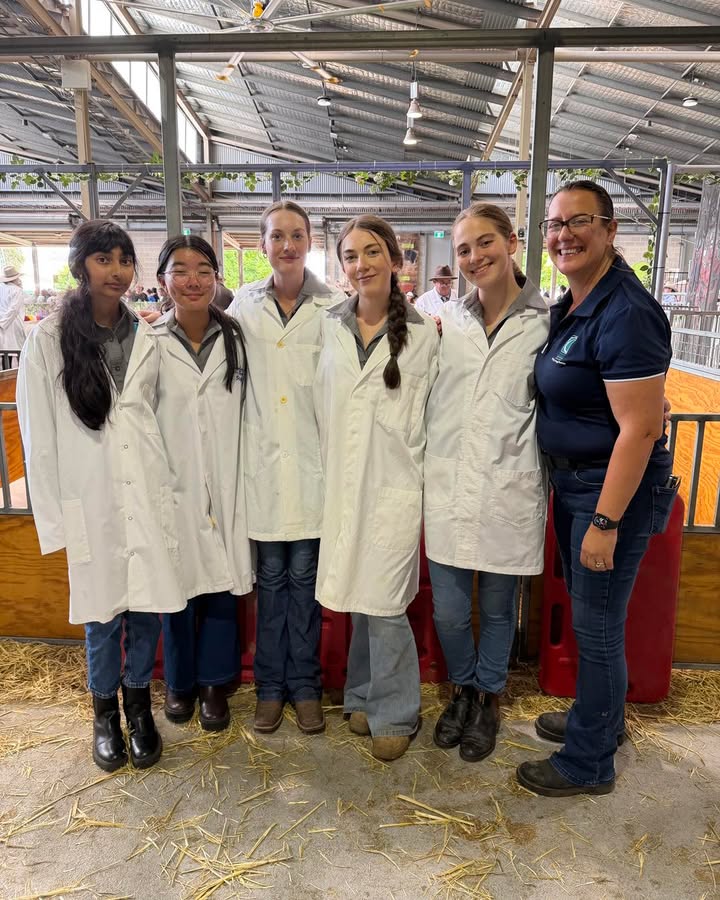 851986860269258_1540945991373338-1