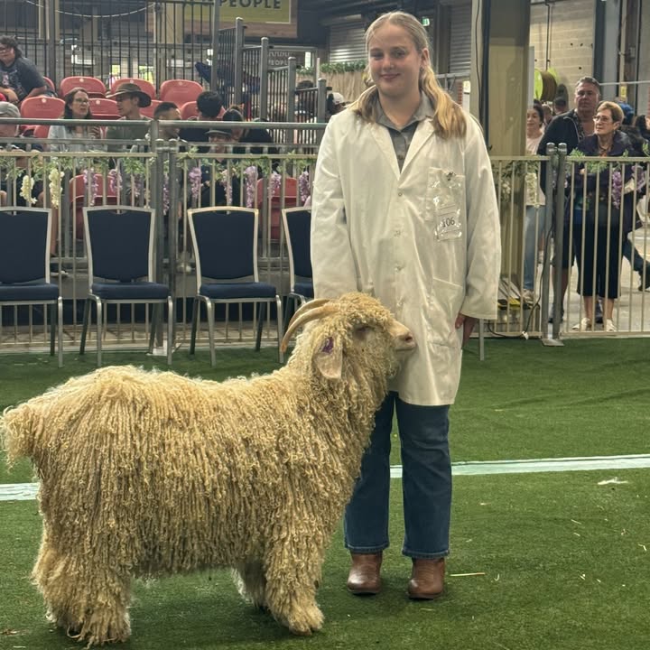 851986860269258_1553567090111228-1