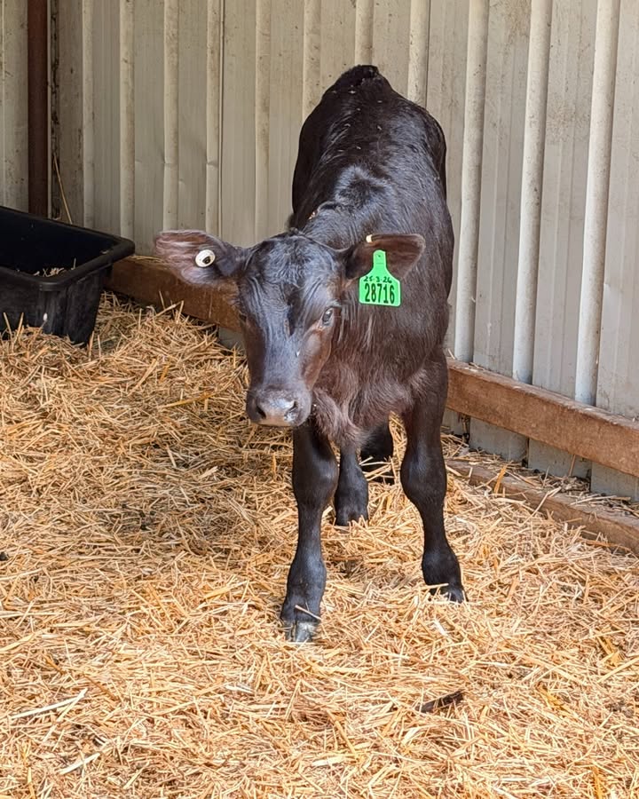 851986860269258_1557246826409921-1