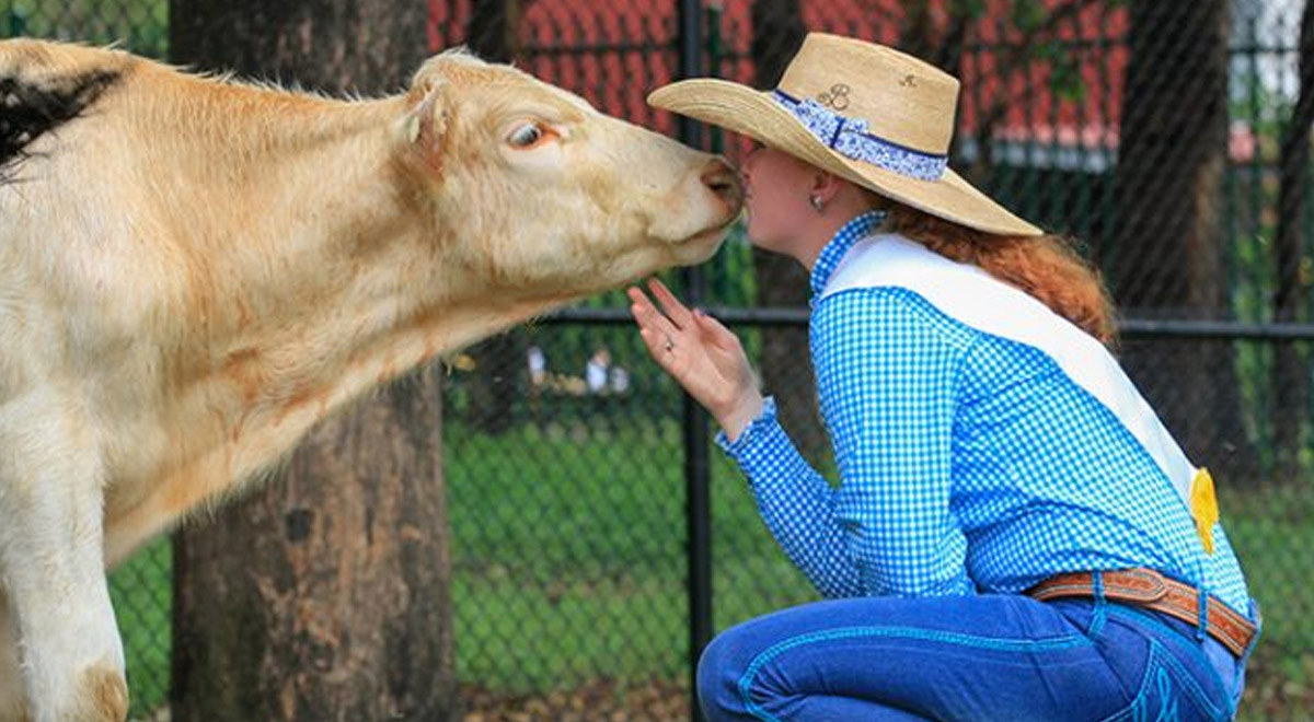 Caroline Chisholm Glenmore Park Alumni Student Brittany Jones is getting ready for the Easter Show.