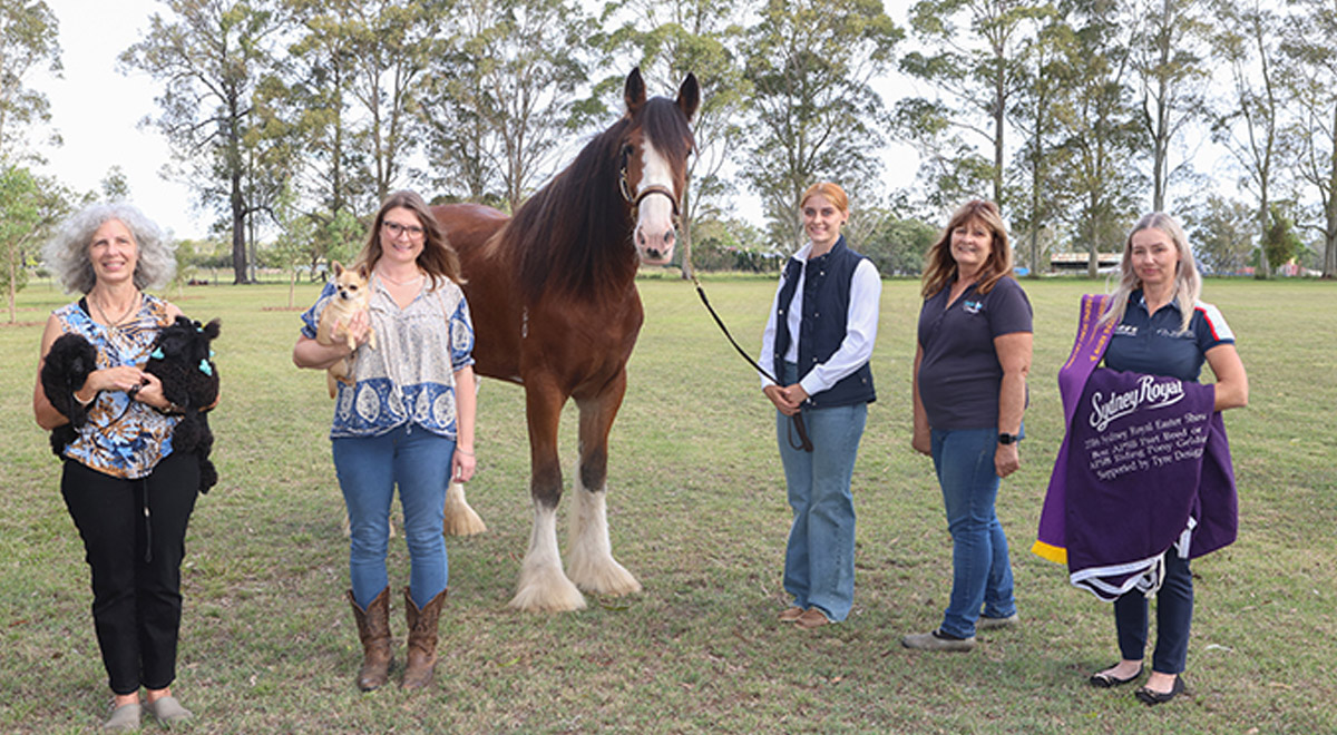 Lisa Martin, Beth Skybinsky, Maddy Kierna, Kerry King and Naomi Brincau.